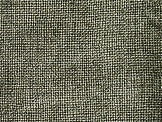 Loden Green